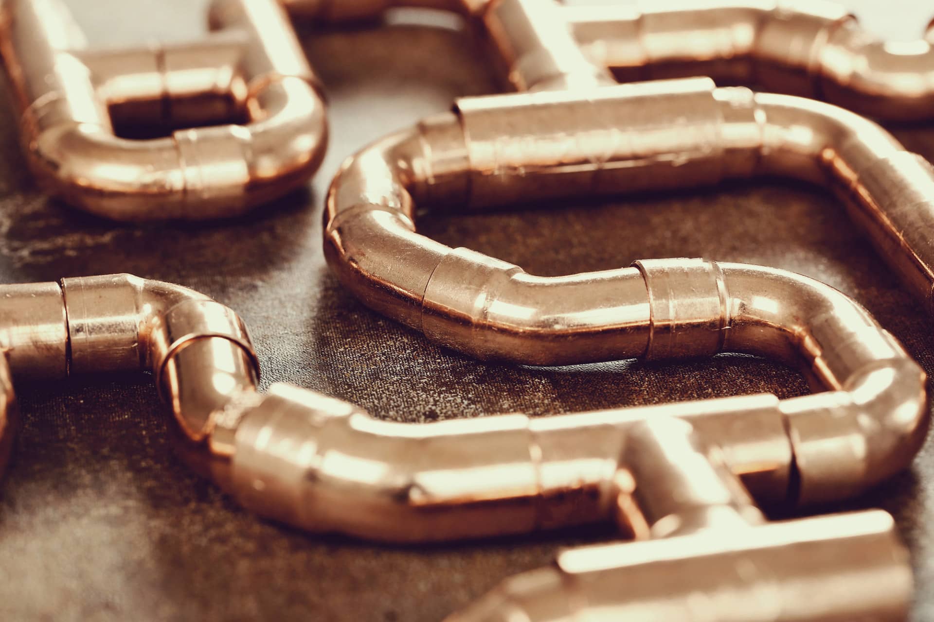 Zdjęcie dekoracyjne